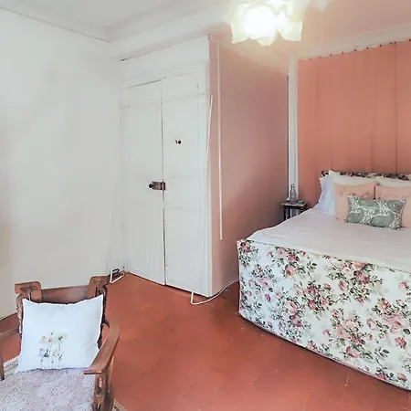 4 Bedroom Pet Friendly In