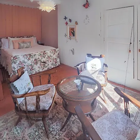 4 Bedroom Pet Friendly In Feriehus Saint-Chinian